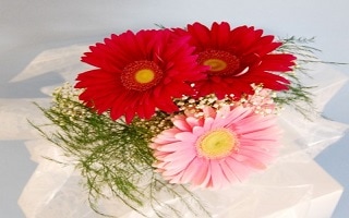 3色の花が置いてある