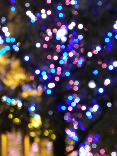 夜のイルミネーション