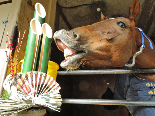 馬と門松