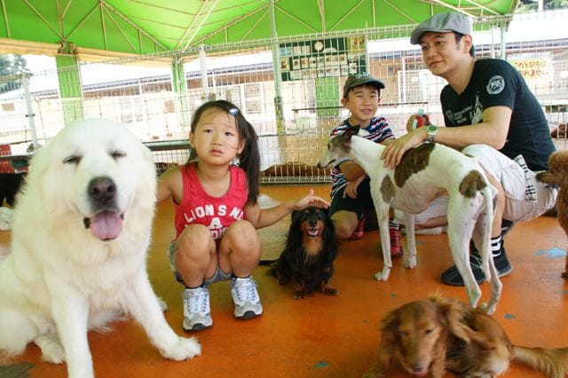 犬でモフモフ! つくばわんわんランド