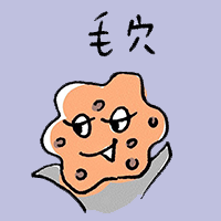 毛穴